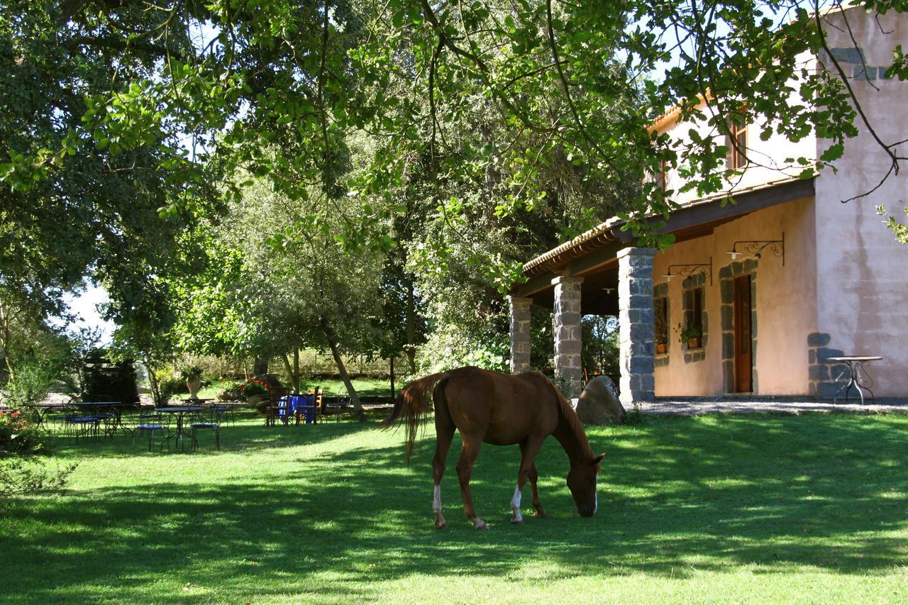 Country Hotel Mandra Edera Abbasanta Екстериор снимка