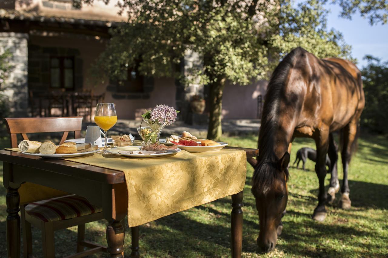 Country Hotel Mandra Edera Abbasanta Екстериор снимка